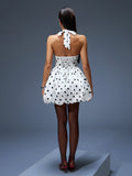 Halter Print Polka Dot A-line Dress