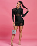 Long Sleeve Petal Mesh Mini Bandage Dress