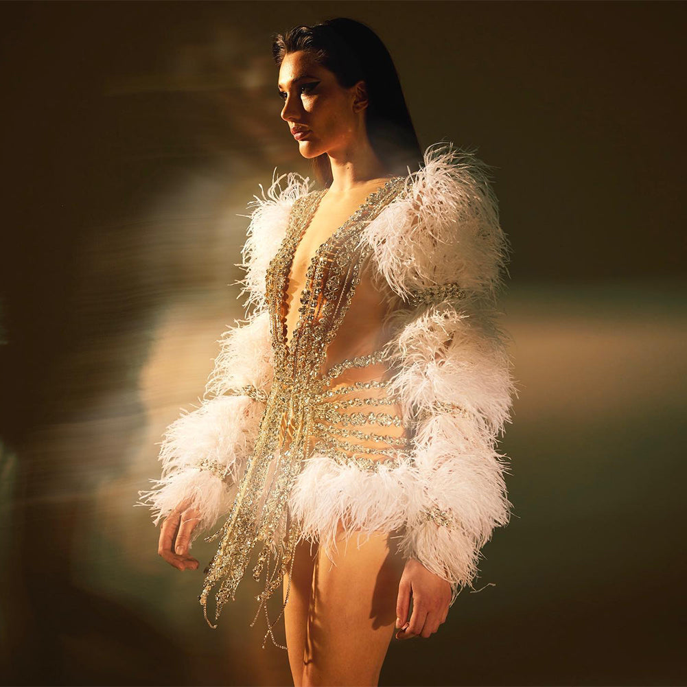Feather Dress Mesh Bodice