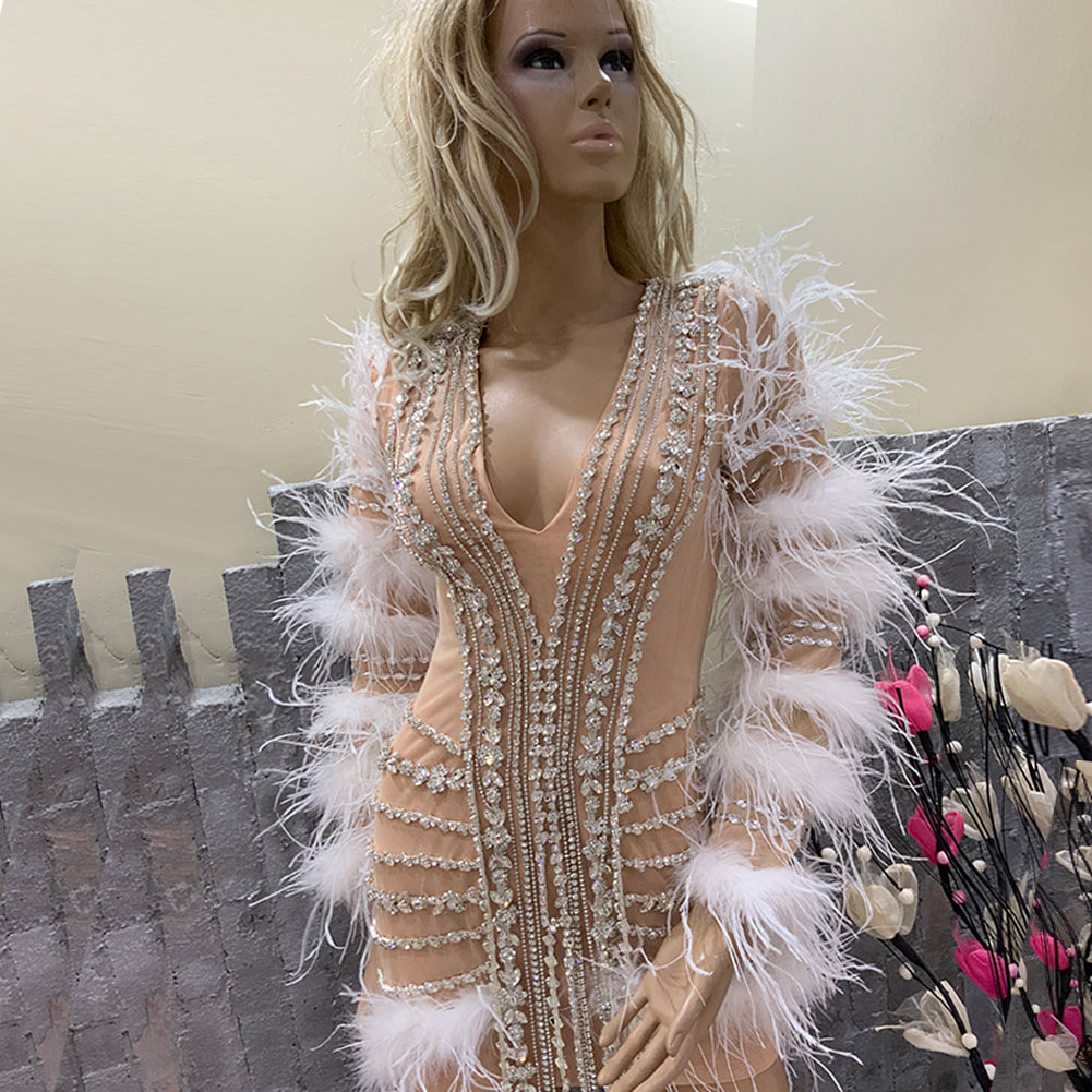 Feather Dress Mesh Bodice