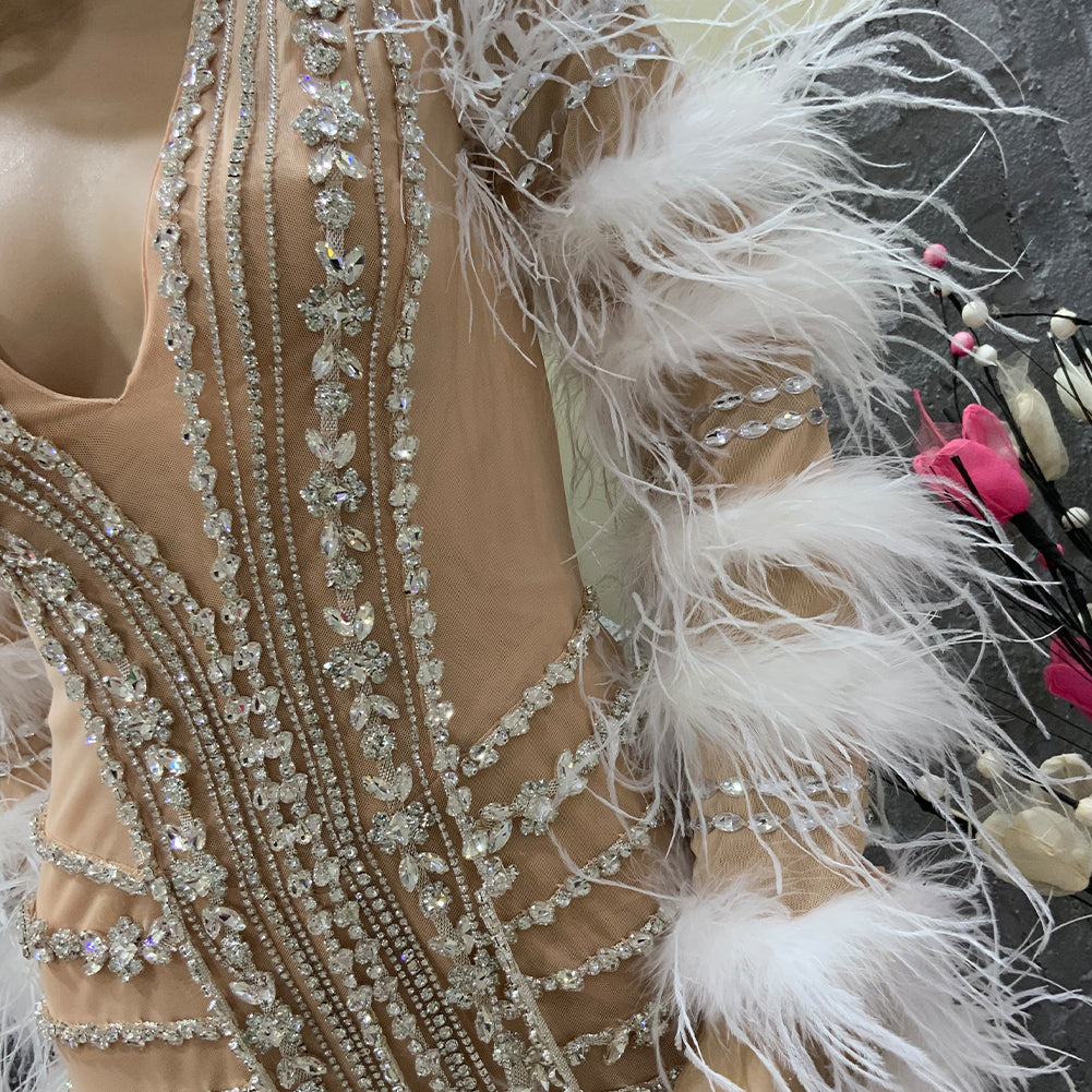 Feather Dress Mesh Bodice