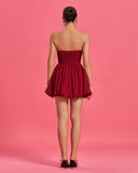 Valentine A-Line Ruffle Mini Dress