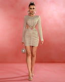 Backless Crew Neck Glitter Mini Dress