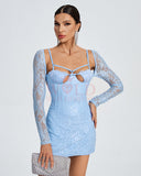 Floral Bustier Strap Mini Lace Dress