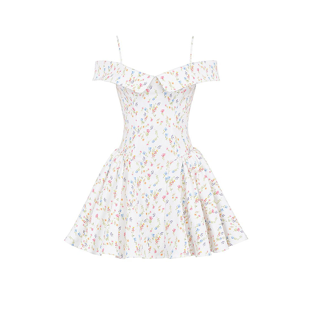 Off Shoulder Sleeveless Floral Mini Dress ZNSBA1022