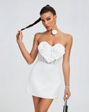 Backless Sweetheart Bustier Mini Dress