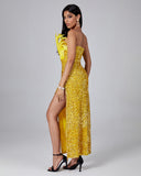 Feather Sequin Maxi Dress
