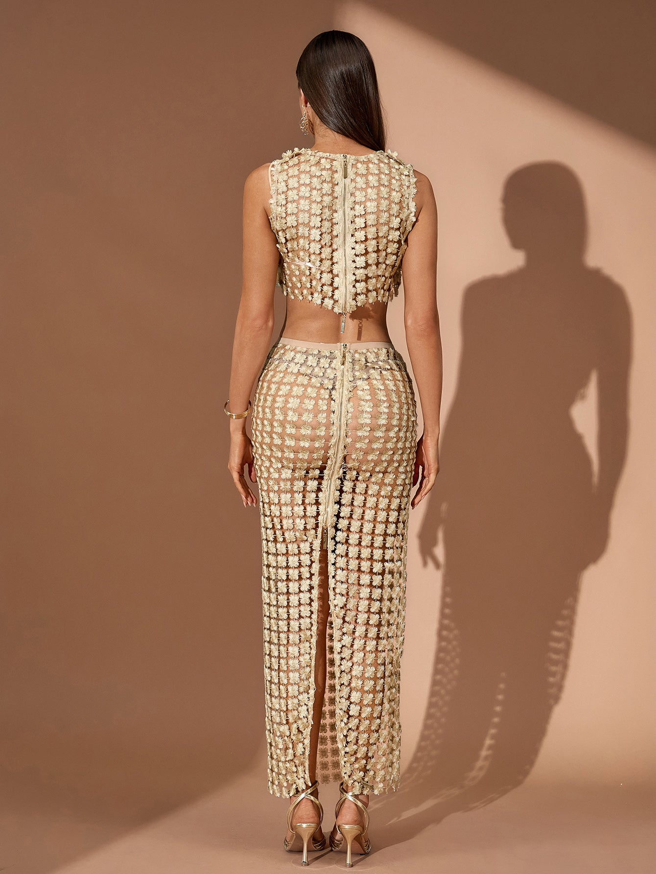 Gold Embroidery See Through Mesh Set