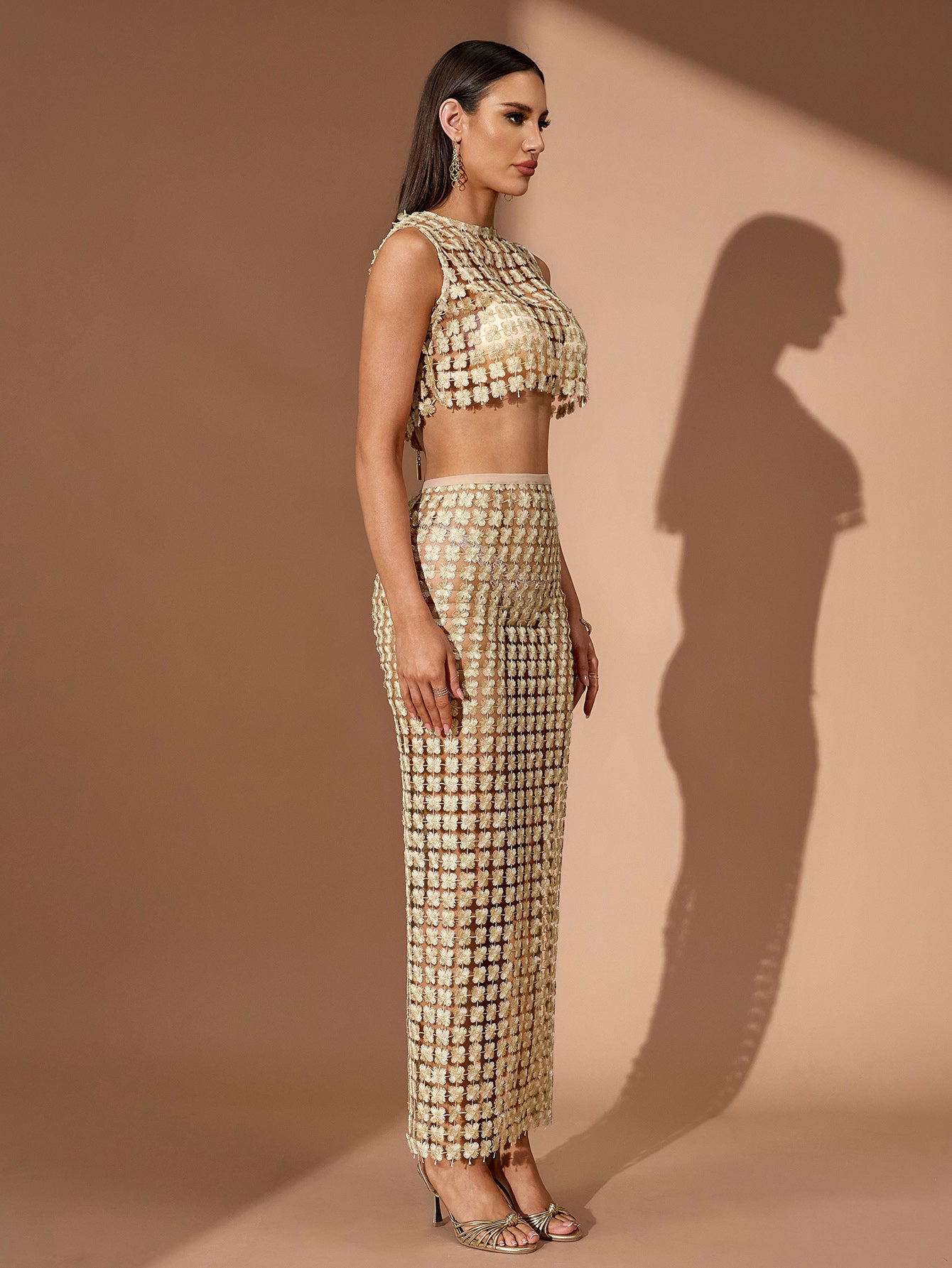 Gold Embroidery See Through Mesh Set