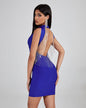 Rhinestone Fringe Trim Backless Bandage Dress