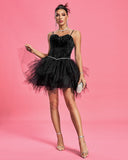 Feather Bra Mini Ballet Dress