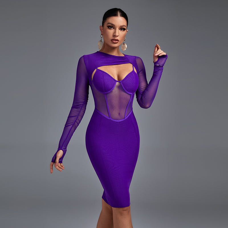 Long Sleeve Cut Out Mesh Bandage Dress PP211028